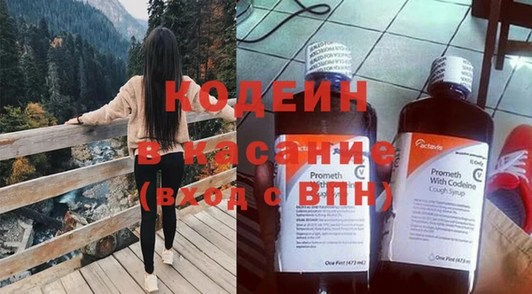 твердый Вяземский