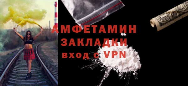 твердый Вяземский