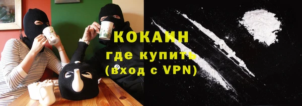 твердый Вяземский