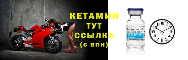 твердый Вяземский