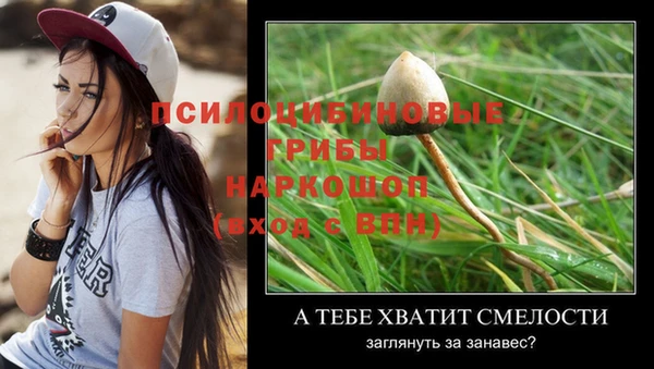 MDMA Premium VHQ Вязьма