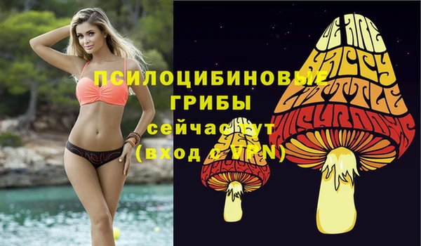 ECSTASY Вязники
