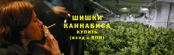 твердый Вяземский