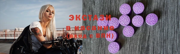 твердый Вяземский