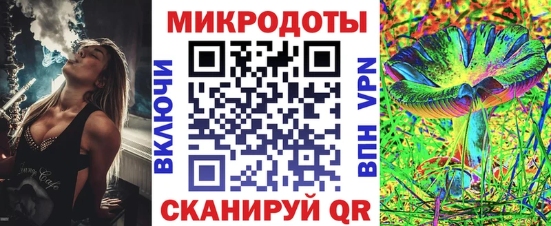 блэк спрут онион  Гусиноозёрск  Псилоцибиновые грибы Psilocybe 
